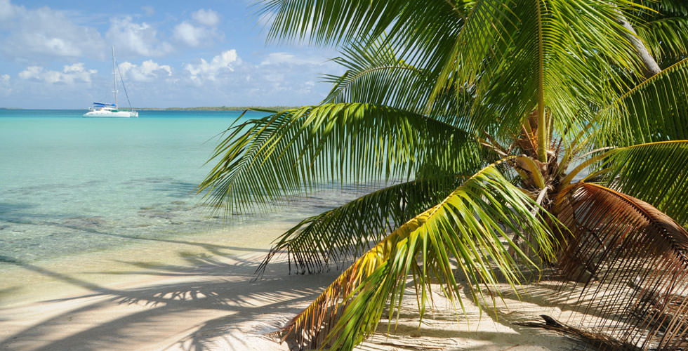 Liveaboard diving in the Caribbean