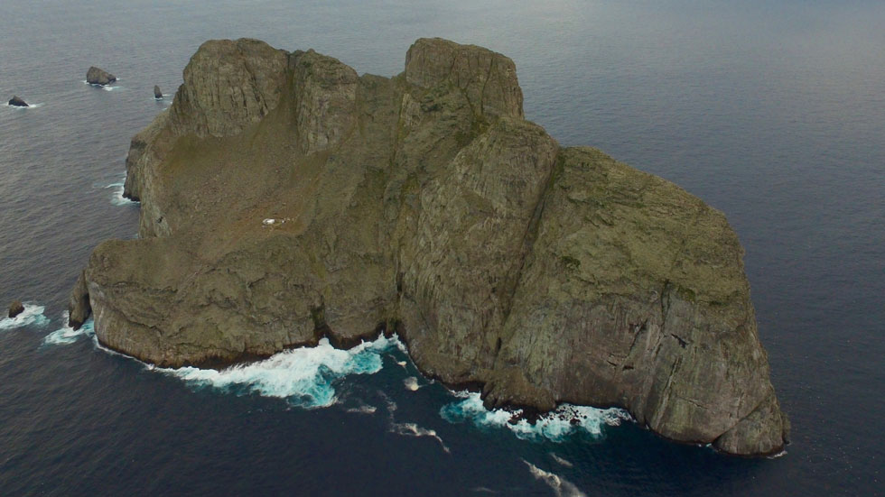 Dive Malpelo Island - The Shark Diving Capital of the World