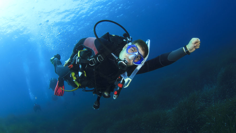 Dive Malpelo Island - The Shark Diving Capital of the World