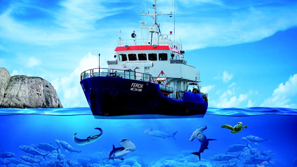 Dive Malpelo Island - The Shark Diving Capital of the World